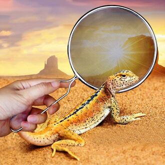 Reptiel Zand Schop Zeef Filter Rvs Scoop Pet Animal Case Cleaning