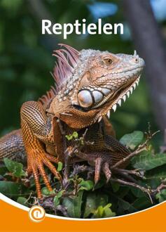 Reptielen -  Bo Buijs (ISBN: 9789464392210)