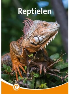 Reptielen - Informatie - Bo Buijs