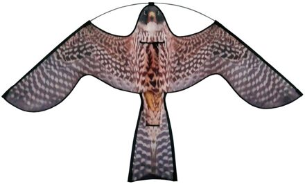 Reserve vlieger Hawk Kite met roofvogelprint
