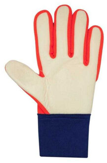 Reusch Heren attrakt starter keepershandschoenen Wit - 7+