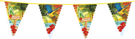 Reuzen Vlaggenlijn Beach Hawaii (6m) Multikleur - Print