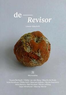 Revisor 31