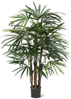 Rhapis Kunstpalm Deluxe 100 cm - Kunstplant