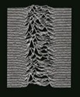 Rhino Unknown Pleasures | Vinyl