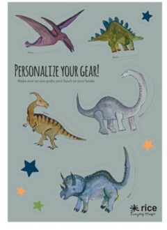 Rice lunchbox stickers dinosaurus