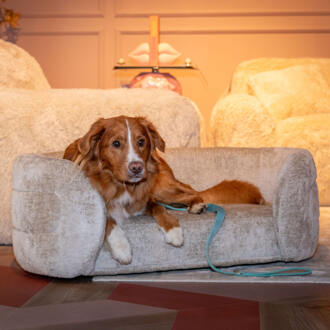 Richmond Interiors Richmond Huisdierenbed 'Bingo' Chenille, kleur Clay