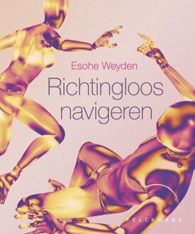 Richtingloos navigeren - Esohe Weyden - ebook