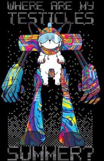 Rick and Morty Where Are My Testicles Summer Dames T-shirt - Zwart - 3XL