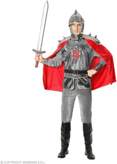 Ridder Kostuum Man Hugo Zilver - Grijs