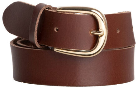 Riem 231 nos Bruin - 95