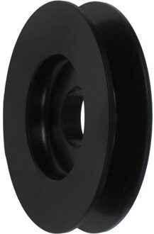 Riemschijf, dynamo AP0008