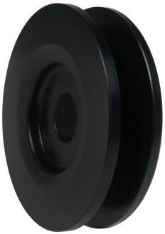 Riemschijf, dynamo AP2001