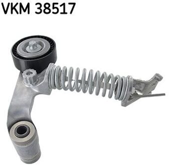 Riemspanner, Poly V-riem VKM38517
