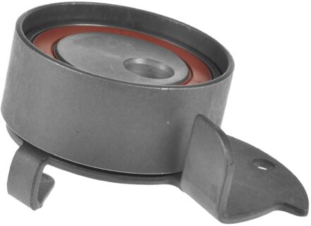 Riemspanner, tandriem