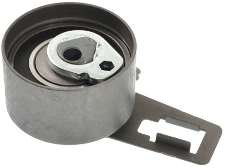 Riemspanner, tandriem