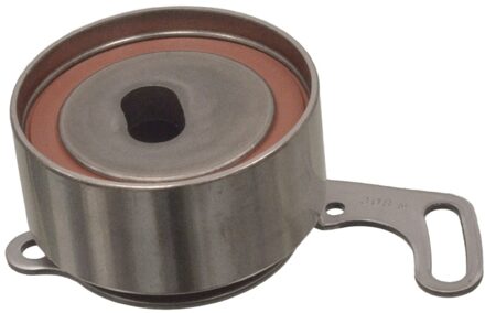 Riemspanner, tandriem