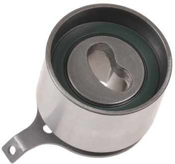 Riemspanner, tandriem