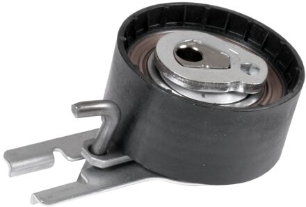 Riemspanner, tandriem