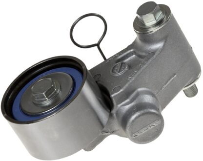 Riemspanner, tandriem