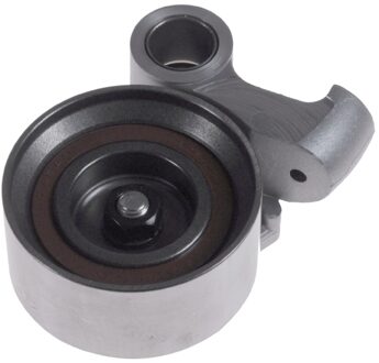 Riemspanner, tandriem