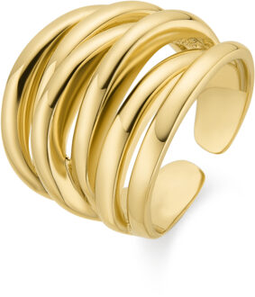 ring afgewerkt in 18K geel goud - Vermixi