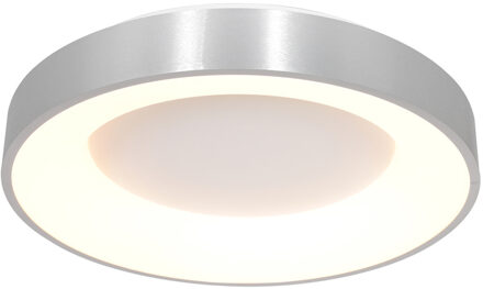 Ringlede Plafondlamp Zilver