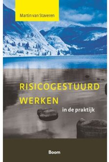 Risicogestuurd werken in de praktijk