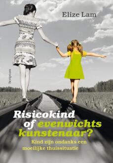 Risicokind of evenwichtskunstenaar? - Boek Elize Lam (9463190244)