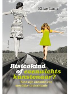 Risicokind of evenwichtskunstenaar? - Boek Elize Lam (9463190244)