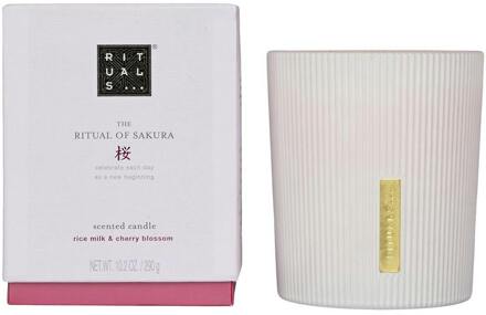 RITUALS Geurkaarsen Rituals