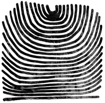 Rival Consoles - Howl