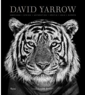 Rizzoli David Yarrow Photography