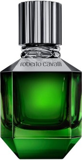 Roberto Cavalli Eau de Toilette Roberto Cavalli Men's Paradise Found EDT 50 ml