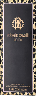 Roberto Cavalli Uomo Edt Spray100 ml. - maat