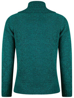 Roberto Sarto Pullover 531154 Groen - 40