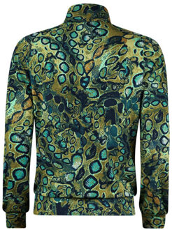 Roberto Sarto Top lange mouw 531194 Groen - 42