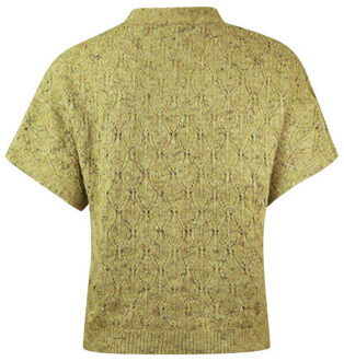 Roberto Sarto Vest 531129 - maat 44 Groen