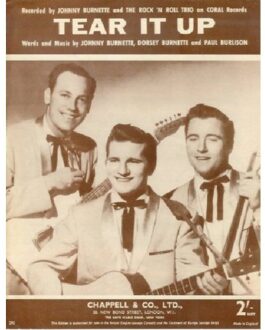 Rock 'N' Roll Trio/Tear It Up