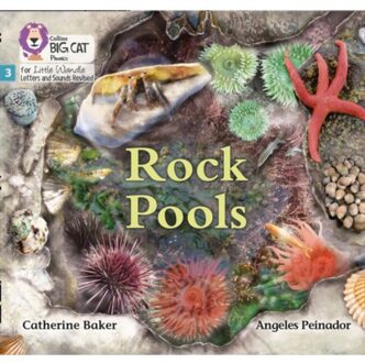 Rock Pools - Big Cat Phonics For Little Wandle Letters And Sounds Revised - Catherine Baker