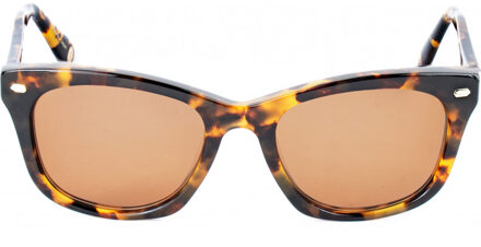 ROCKFORD-S149 ROCKFORD 52 S149 Zonnebril Bruin - One Size