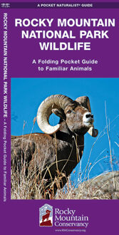 Rocky Mountain National Park Wildlife