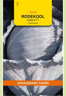 Rode Kool Lodero F1 (knolvoetvrij)