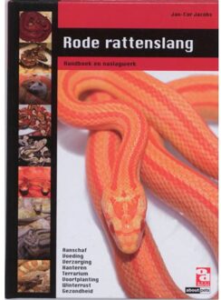 Rode rattenslang - Boek Jan-Cor Jacobs (9058216136)