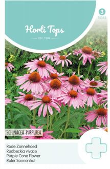 Rode Zonnehoed Echinacea Purpurea