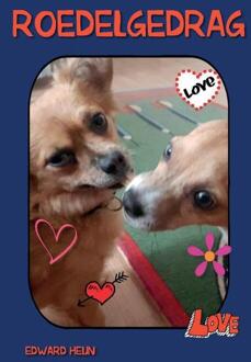 Roedelgedrag - Boek Edward Heijn (9463452338)