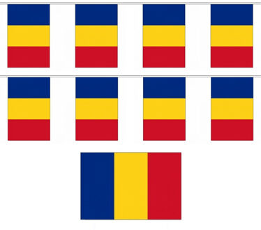 Roemenie vlaggenlijn - 2x - polyester stof - 900 cm - landen supporters feestartikelen - versiering