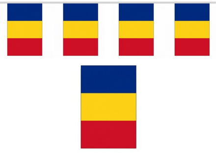 Roemenie vlaggenlijn - polyester stof - 900 cm - landen supporters feestartikelen - versiering