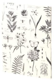 Rössler botanicals briefpapier set inclusief enveloppen