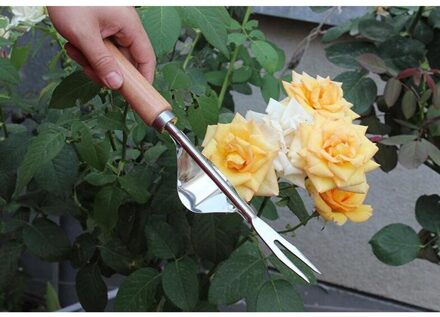 Roestvrij Hand Wieden Vork Transplanteren Graven Gereedschappen Handleiding Verwijderen Penwortel Voor Homegrown Tuin Planten Tool Gratis Bezorging